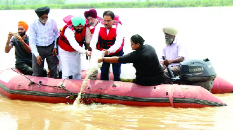 Om Prakash Soni And Others During leaving the fishes in Beas