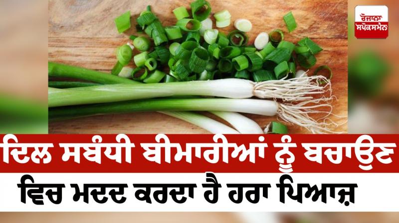 Green onion helps to prevent heart related diseases Health News in punjabi 