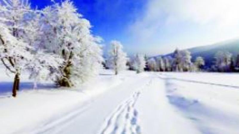 Ice Ice