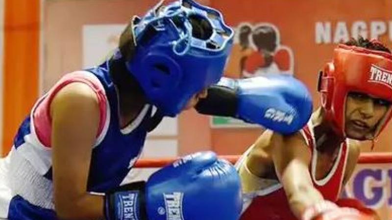 Boxing Player Boxing Player