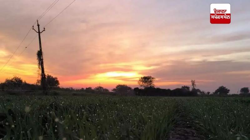 Punjab Weather Update News in punjabi Punjab Weather Update News in punjabi