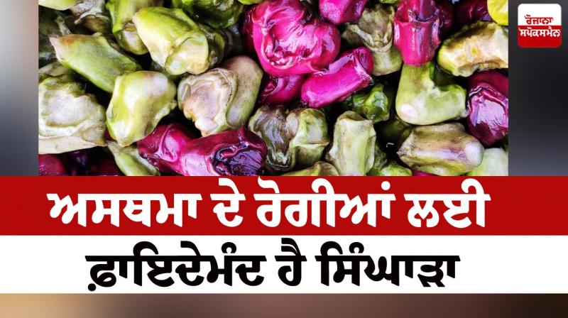 Singhara is beneficial for asthma patients Heath News Singhara is beneficial for asthma patients Heath News
