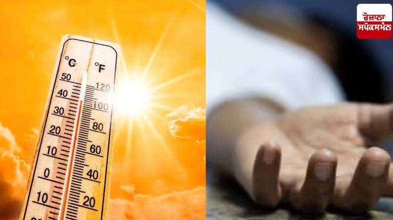 Man dies from extreme heat Punjab News Man dies from extreme heat Punjab News