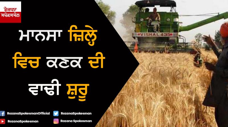 Wheat harvesting Wheat harvesting