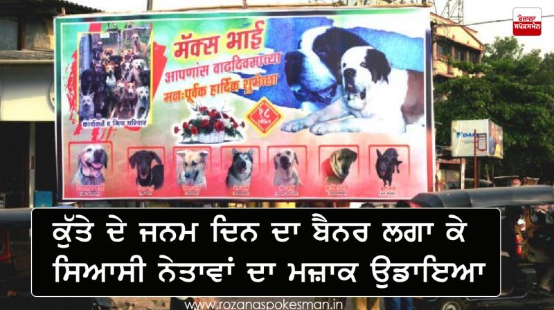 Residents mock politicians with hoarding for dog's birthday