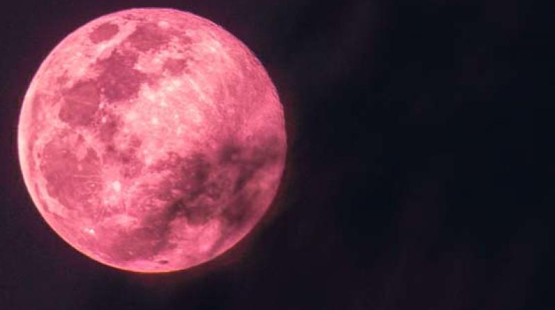 Pink Full Moon 2024