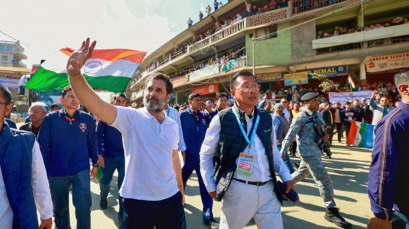 BJP is dividing the country in the name of caste, race, religion Rahul Gandhi News in punjabi BJP is dividing the country in the name of caste, race, religion Rahul Gandhi News in punjabi