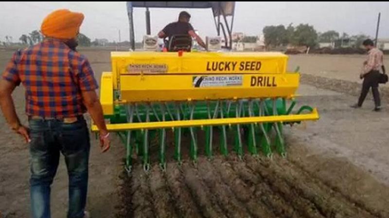  Direct Sowing Paddy