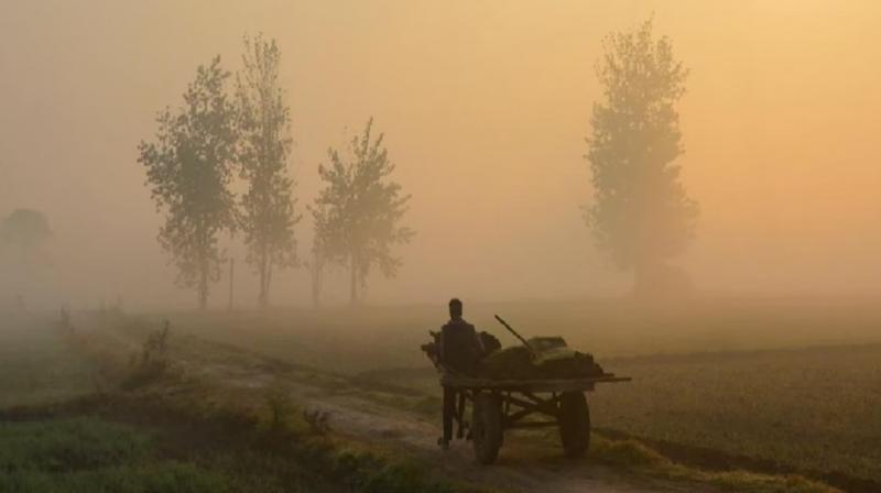 Punjab Punjab