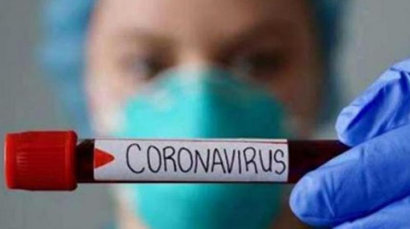 Corona Virus Corona Virus