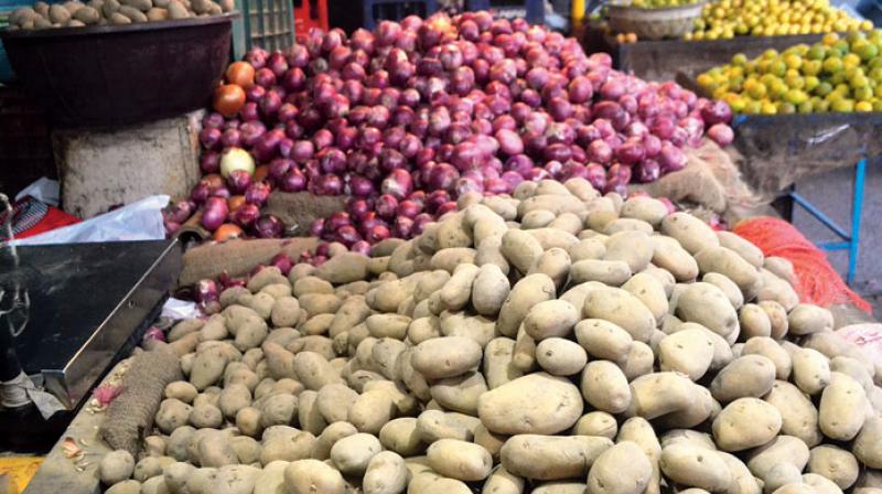 onion and potatoes onion and potatoes