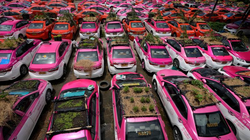 Farming on the roofs of taxis in Thailand Farming on the roofs of taxis in Thailand