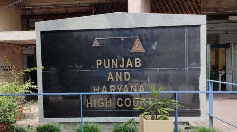Punjab and Haryana High Court Punjab and Haryana High Court
