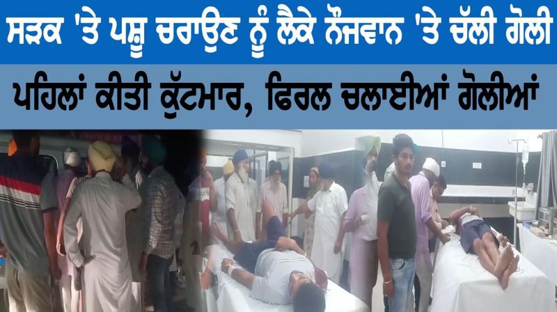 Young man shot on the street for grazing cattle Young man shot on the street for grazing cattle