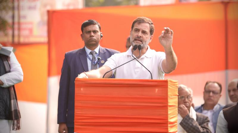 Rahul Gandhi Rahul Gandhi