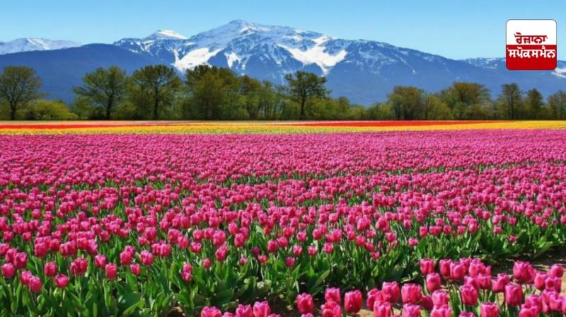 Floriculture Floriculture