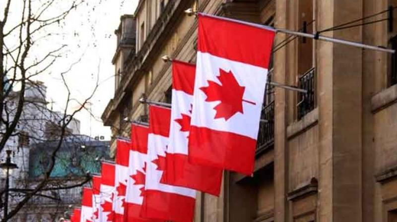 Canada News: The number of foreign students in Canada has crossed one million Canada News: The number of foreign students in Canada has crossed one million