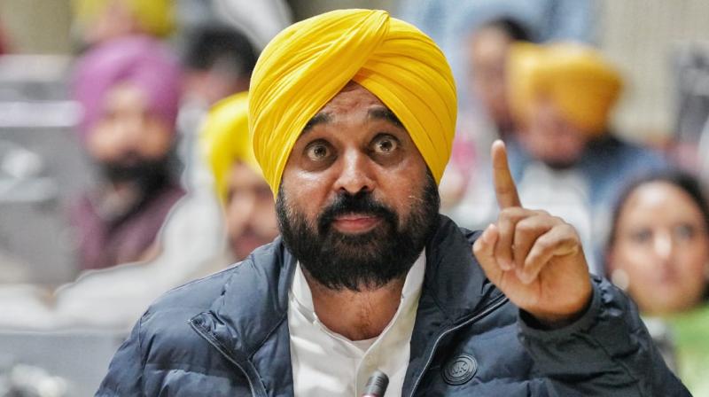 Punjab CM Bhagwant Mann on Punjab Budget 2024-25