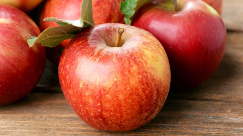 Many diseases are removed by eating apples with the peel Health News Many diseases are removed by eating apples with the peel Health News