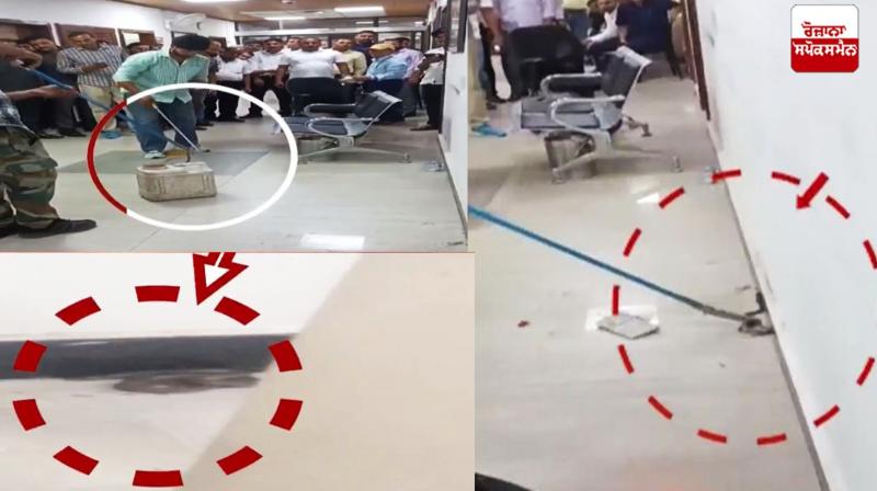 Haryana Secretariat office Snake News in punjabi Haryana Secretariat office Snake News in punjabi