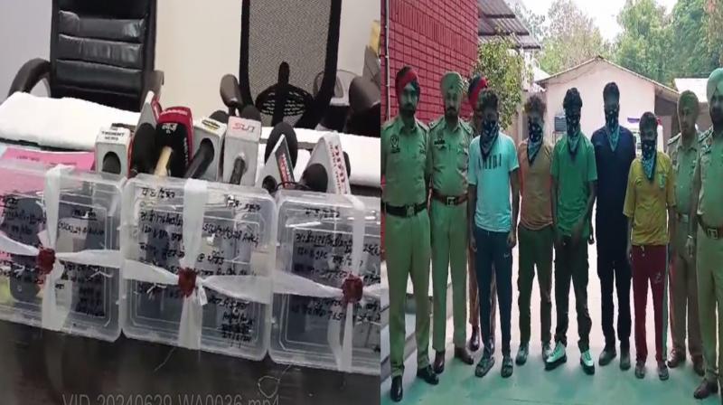 Jalandhar police arrested 5 gang members of Sonu Khatri gang with weapons Jalandhar police arrested 5 gang members of Sonu Khatri gang with weapons