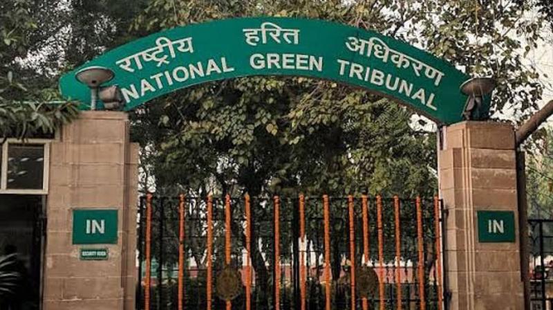 NGT NGT