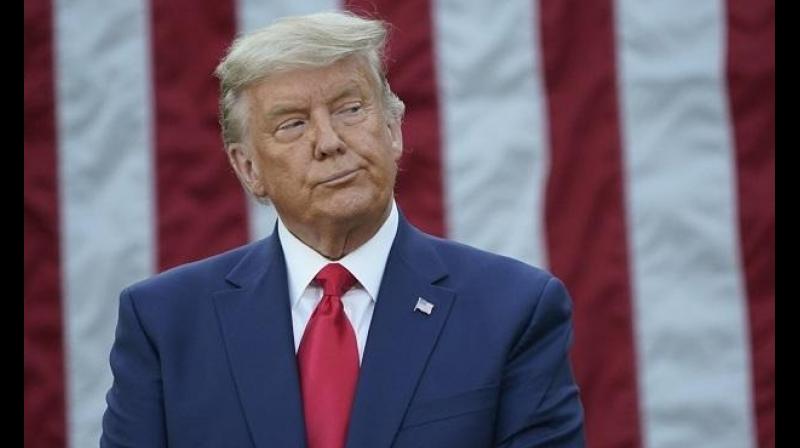Donald trump Donald trump