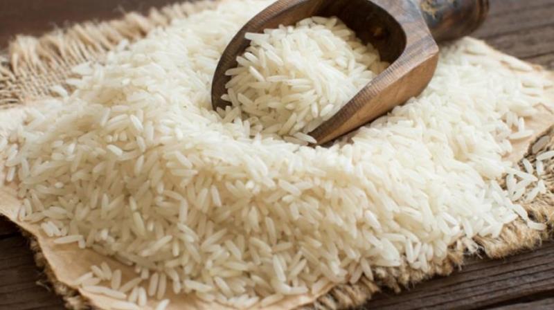 Project started in Amritsar to improve the life of Basmati producers