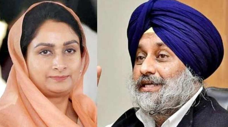 Sukhbir Badal, Harsimrat Kaur Badal