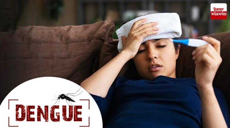Health department Alert on dengue cases in Chandigarh Health department Alert on dengue cases in Chandigarh