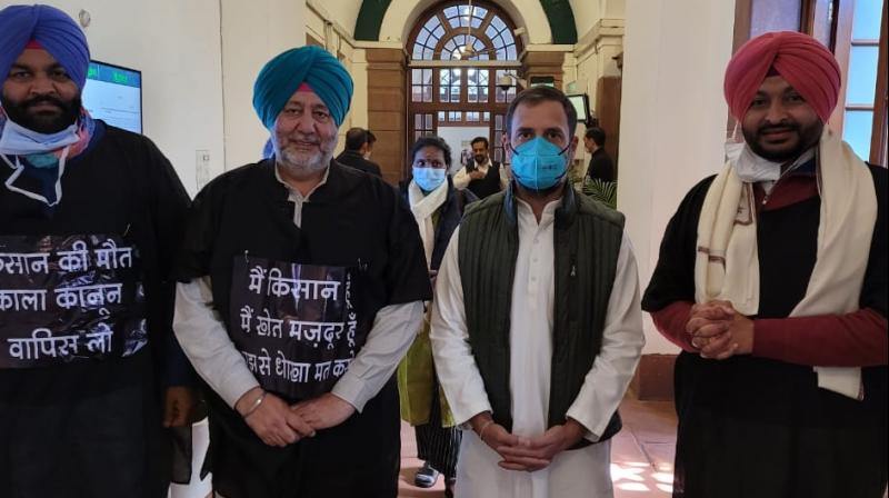Rahul Gandhi with Congress MP Rahul Gandhi with Congress MP