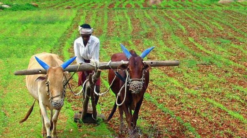 Farmers get benefit of kisan call center scheme