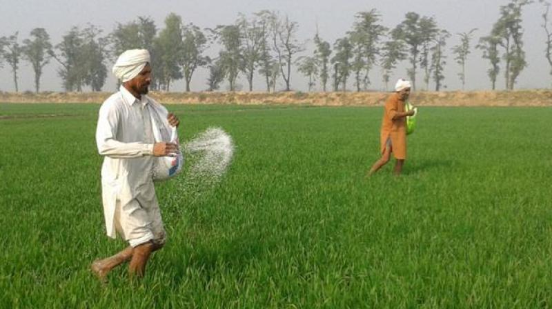 Farmers get benefit of kisan call center scheme Farmers get benefit of kisan call center scheme
