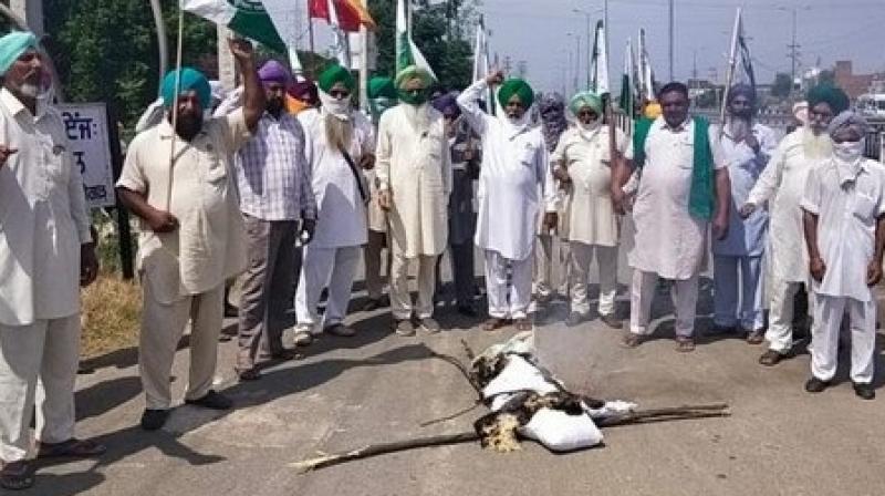 farmer protest farmer protest