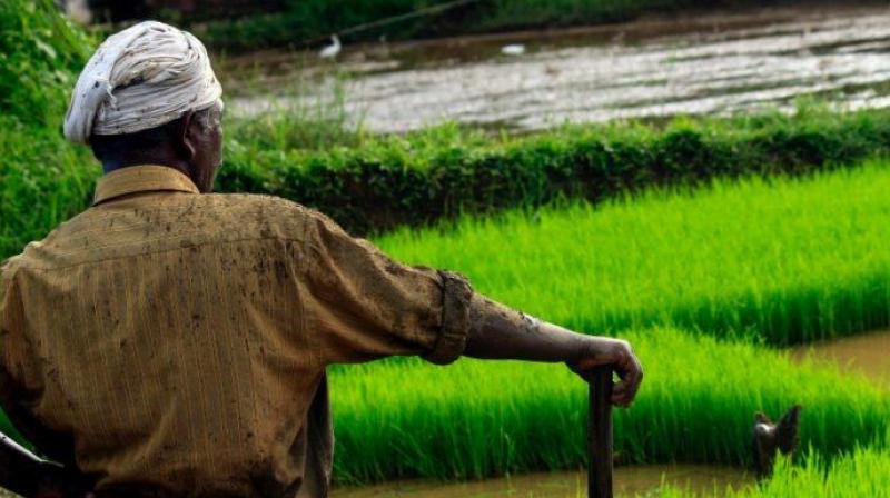 Farming Farming