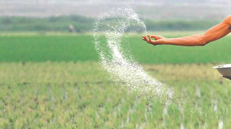 urea urea