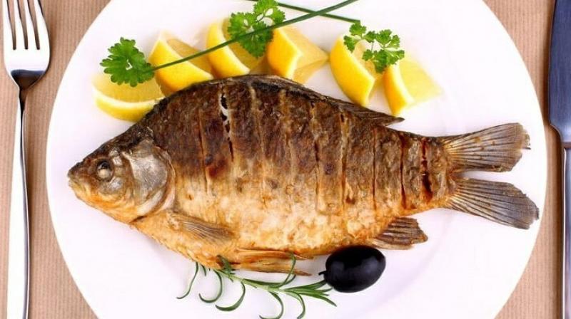 Fish Fish