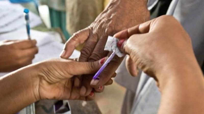 The Punjab government told the High Court when the panchayat elections will be held! The Punjab government told the High Court when the panchayat elections will be held!