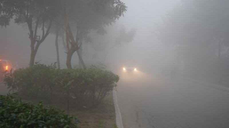 Cold wave continues in North India Cold wave continues in North India