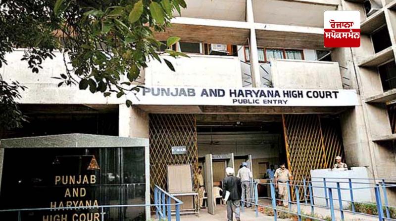 Punjab and haryana High Court Punjab and haryana High Court