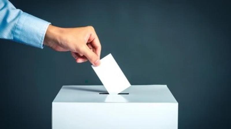 MC Election MC Election