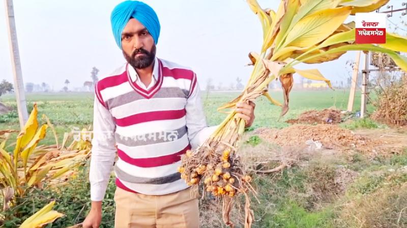 How did the indebted farmer Sukhchain Singh get rid of the debt? How did the indebted farmer Sukhchain Singh get rid of the debt?