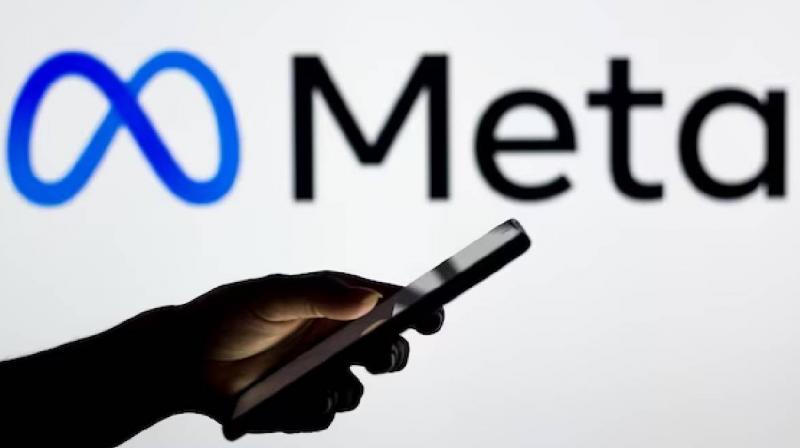 Meta removes fake accounts targetting Sikh community Meta removes fake accounts targetting Sikh community