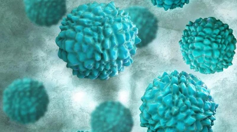 Norovirus Norovirus