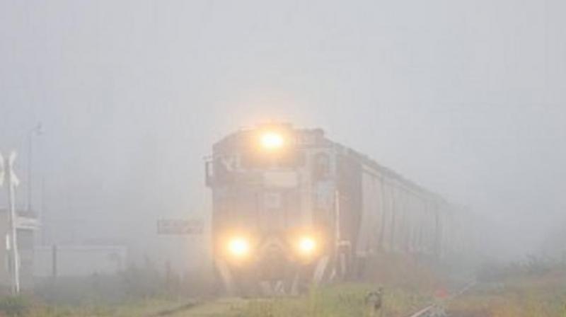 Fog Fog