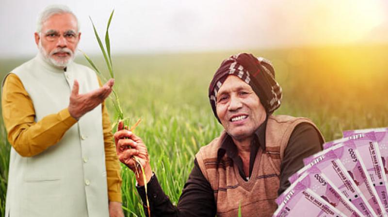 PM Kisan scheme PM Kisan scheme