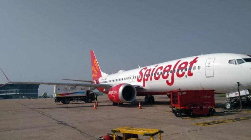 Spicejet Spicejet