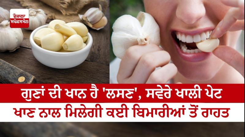 Garlic is Best For Health Garlic is Best For Health