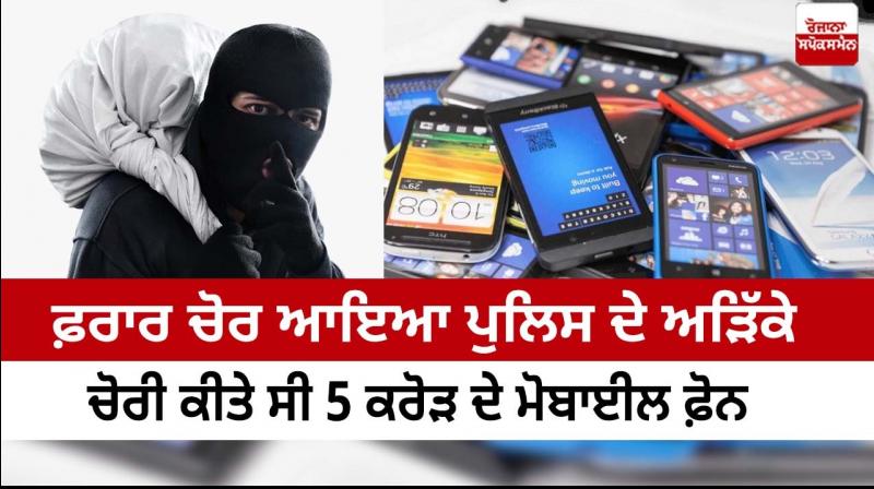 Man arrested on charge of stealing mobile phone worth five crore rupees Man arrested on charge of stealing mobile phone worth five crore rupees