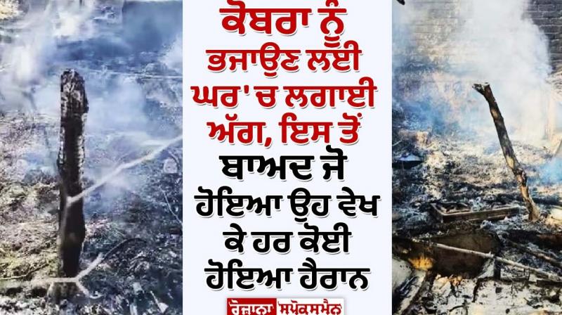 Uttar Pradesh cobra shocking news whole house burnt on fire Uttar Pradesh cobra shocking news whole house burnt on fire